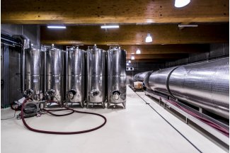 vino